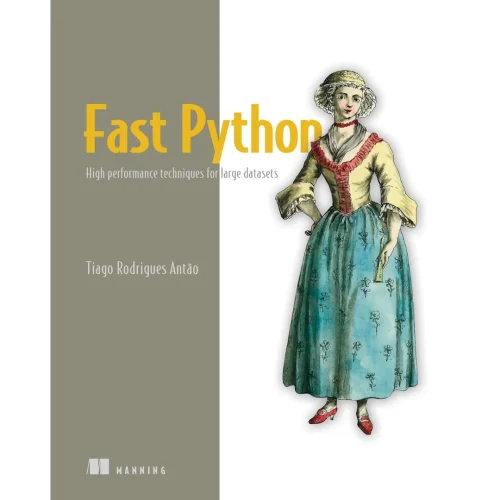 Fast Python: High performance techniques for large datasets
