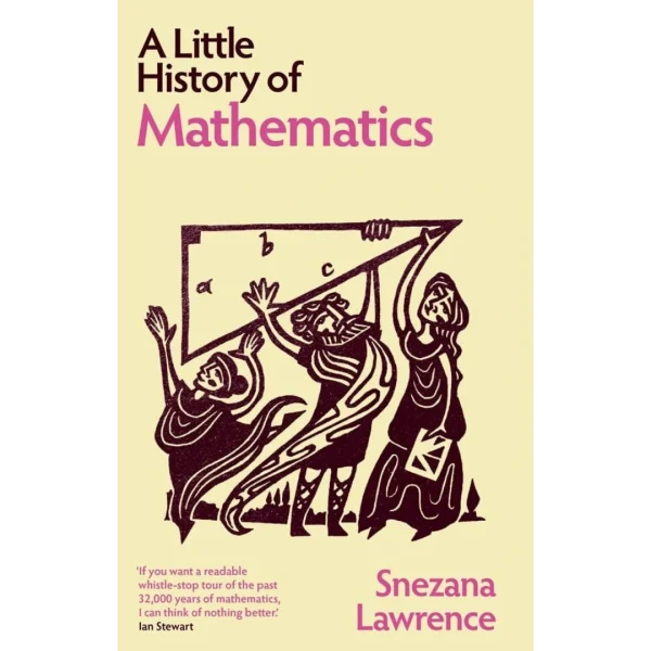 A Little History of Mathematics (Little Histories)